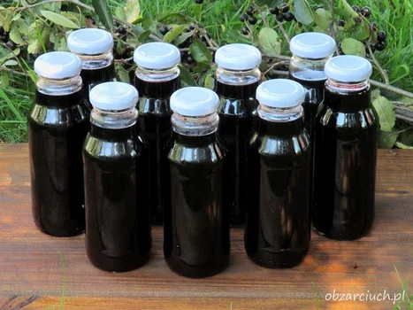 Syrop z aronii