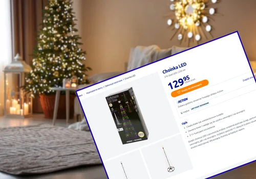 Tradycyjne choinki to już przeszłość! Teraz takie cudne drzewka za 129 zł z Action podbijają polskie domy i ogrody