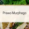 Prawo Murphego
