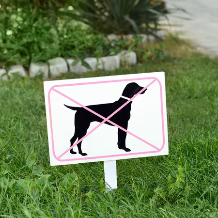 Rewolucyjna ustawa! Ta rasa psów została zakazana!
