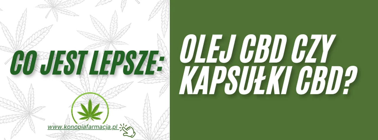 Co jest lepsze - olej CBD czy kapsułki CBD? Porównanie obu form suplementacji