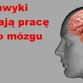 Sprawdź nawyki które niszczą MÓZG