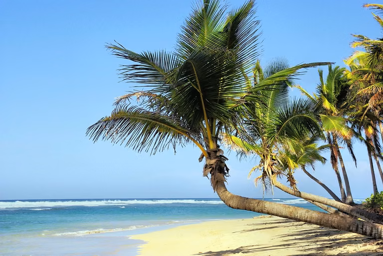 Ubezpieczenie na wszelki wypadek