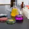 UE wypowiada wojnę "wiecznym chemikaliom"! Tę zmianę odczujemy wszyscy!