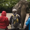 Dzień Miłośników Zoo: Jak Świętować i Dlaczego Zoo Są Ważne