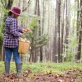 Nadchodzi wielkie grzybobranie! W tych rejonach grzyby pojawią się już niebawem!