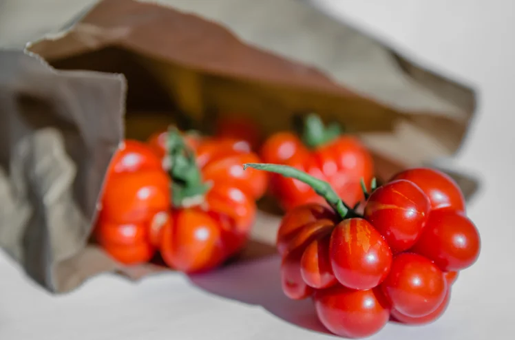 Zdjęcie Dlaczego warto wkładać pomidory do papierowej torby? #1