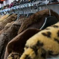 Dzień Sztucznego Futra: Etyczna Alternatywa dla Modowej Elegancji