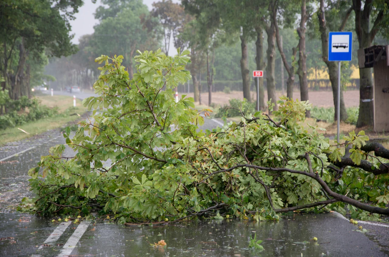 Burzowy weekend w Polsce! IMGW ostrzega miliony mieszkańców!