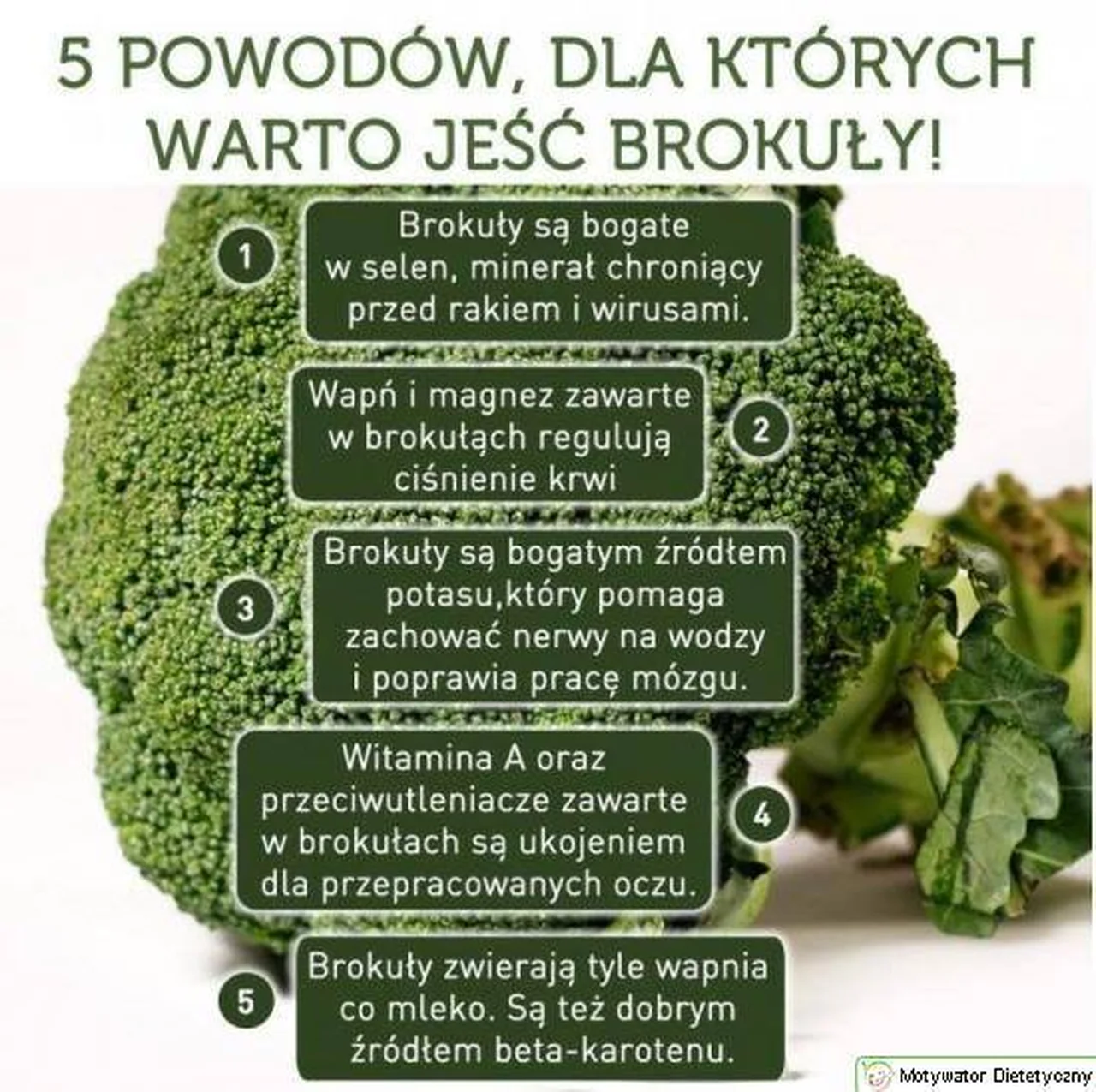 Dlaczego warto jeść brokuły