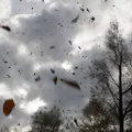 Silny wiatr w tych województwach! Alerty RCB i prognoza na weekend!