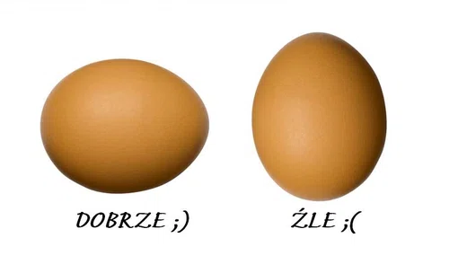 Jak sprawdzić świeżość jajka