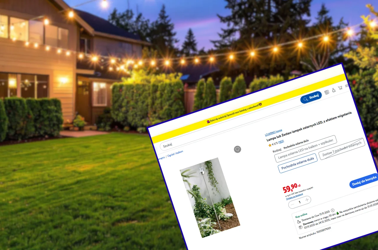 Te lampki z Lidla za 59,90 zł zrobią mega efekt w ogrodzie! Motyw pochodni z efektem migotania - zero kabli i rachunków