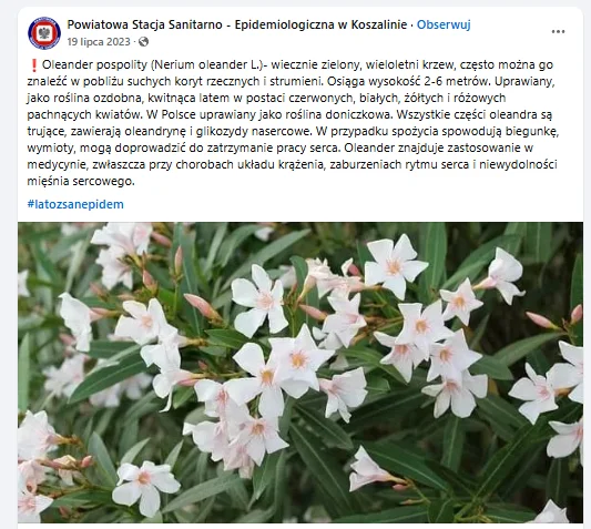 Zdjęcie Uprawiamy ją w doniczkach, a jest silnie toksyczna! Sanepis wydał ważny komunikat z ostrzeżeniem #2