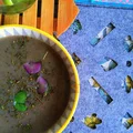 Zupa krem z pieczarek i kalafiora