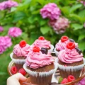 Piernikowe cupcake z kremem malinowym