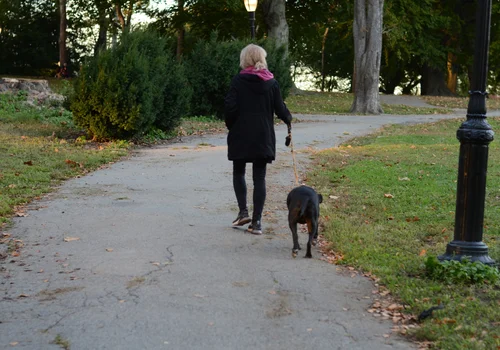 Ten rodzaj L4 pozwala na spotkania ze znajomymi i uprawianie sportu! Nie musisz bać się kontroli