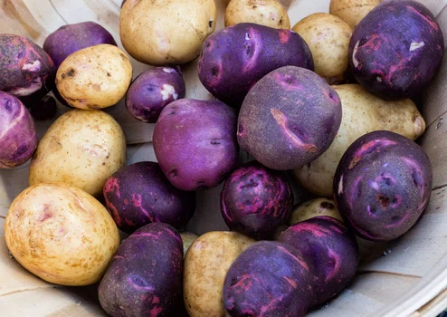 Fioletowe ziemniaki? Zobacz dlaczego warto po nie sięgnąć