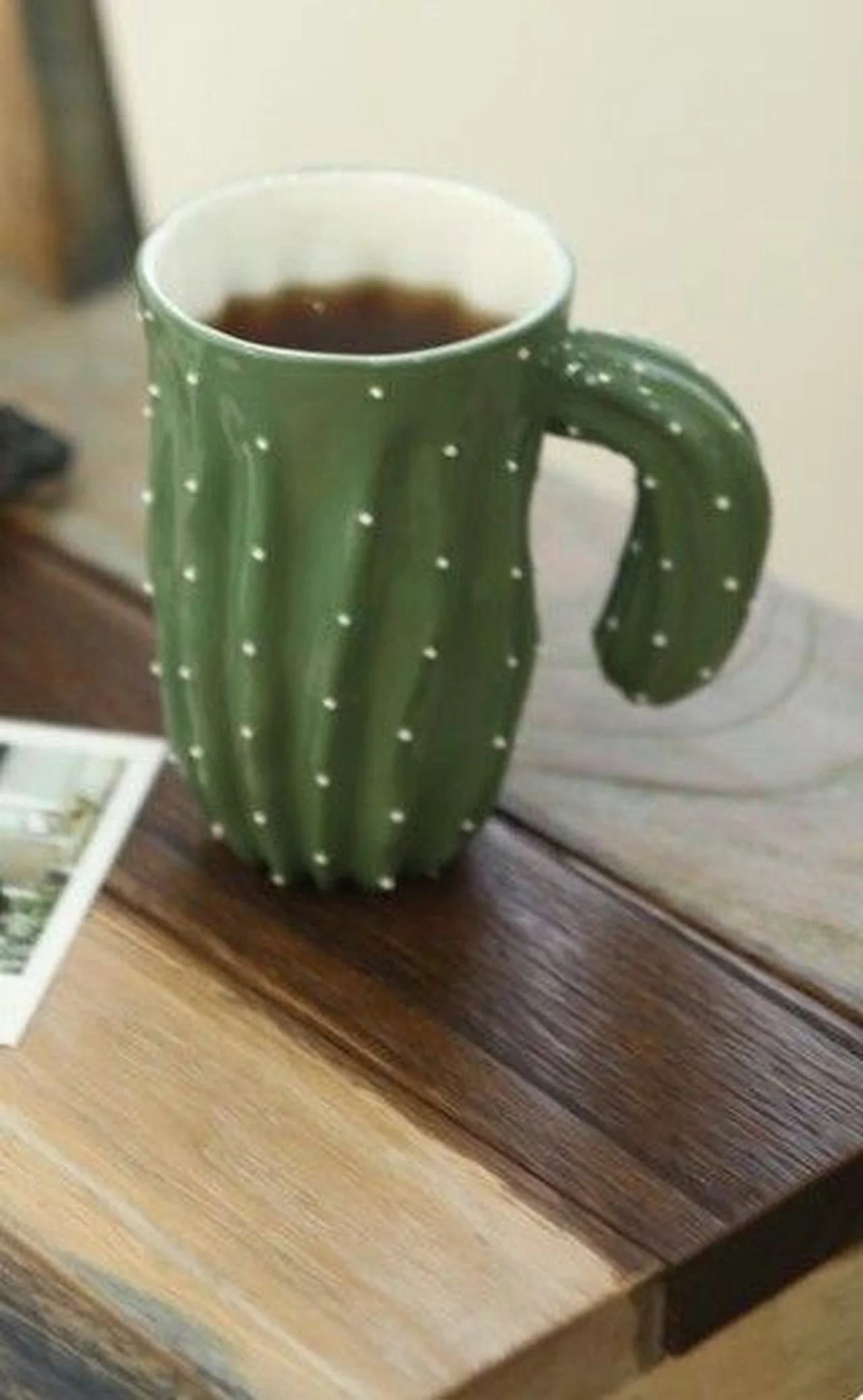 kaktus z herbatką