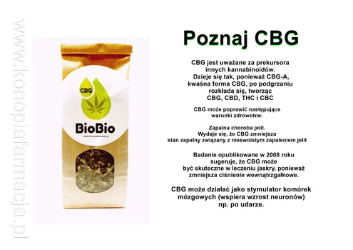 Poznaj CBG