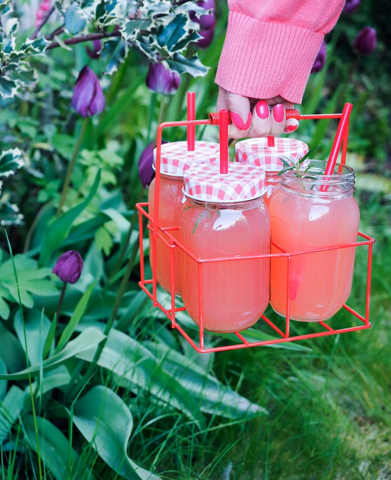 Lemoniada rabarbarowa z grapefruitem i rozmarynem