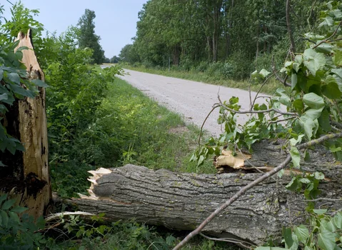 Do Polski nadchodzi niebezpieczeństwo pogodowe! Za kilka godzin ogłoszą alerty!