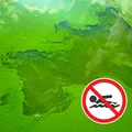 Sinice nad Bałtykiem! - Mapa skażonych kąpielisk!