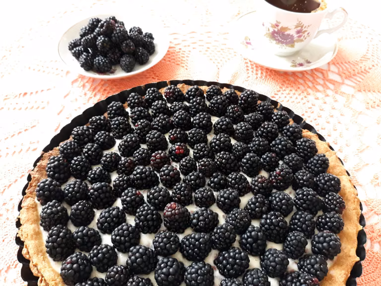 Tarta budyniowa z jeżynami