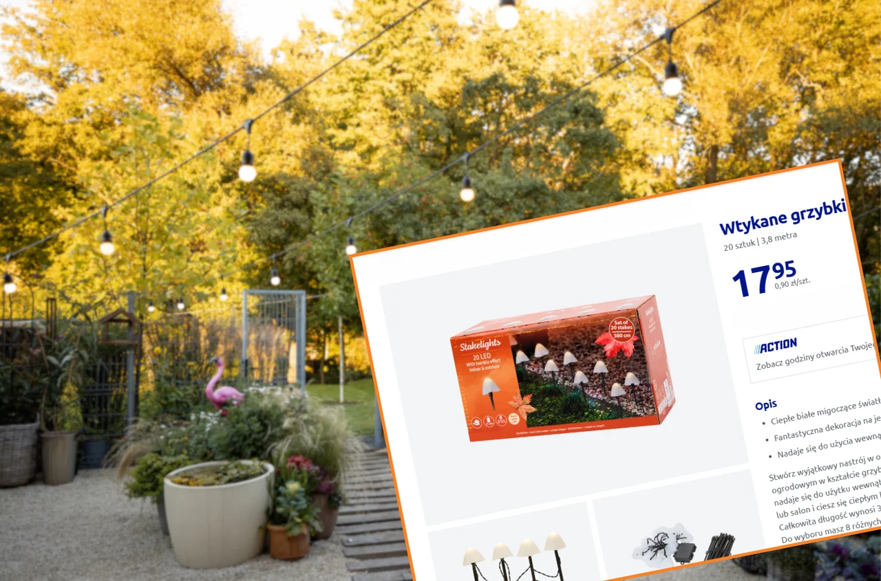 Te urocze lampki z Action będą hitem jesieni! Tylko 18 zł, bez wtyczki, a efekt jak z zaczarowanego ogrodu