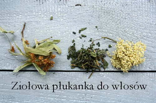 Domowe kosmetyki do suchych włosów