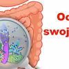 Sprawdź sposoby na OCZYSZCZENIE JELITA GRUBEGO!