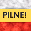 Wybory 2023 - wyniki sondaży exit poll! Wiemy, kto wejdzie do Sejmu!