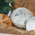 TZATZIKI