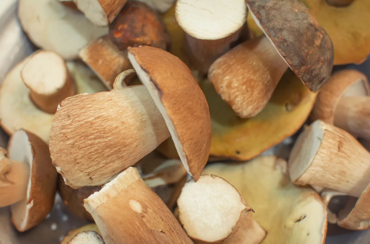 Czy grzyby trzeba gotować? Większość osób wciąż popełnia ten błąd!