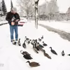 Dlaczego nie wolno karmić ptaków chlebem?