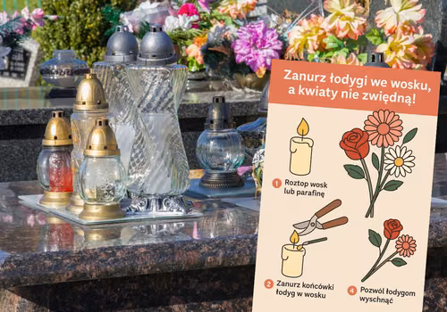 Zanurz łodygi we wosku, a kwiaty nie zwiędną! Stary florystyczny trik, który naprawdę działa!