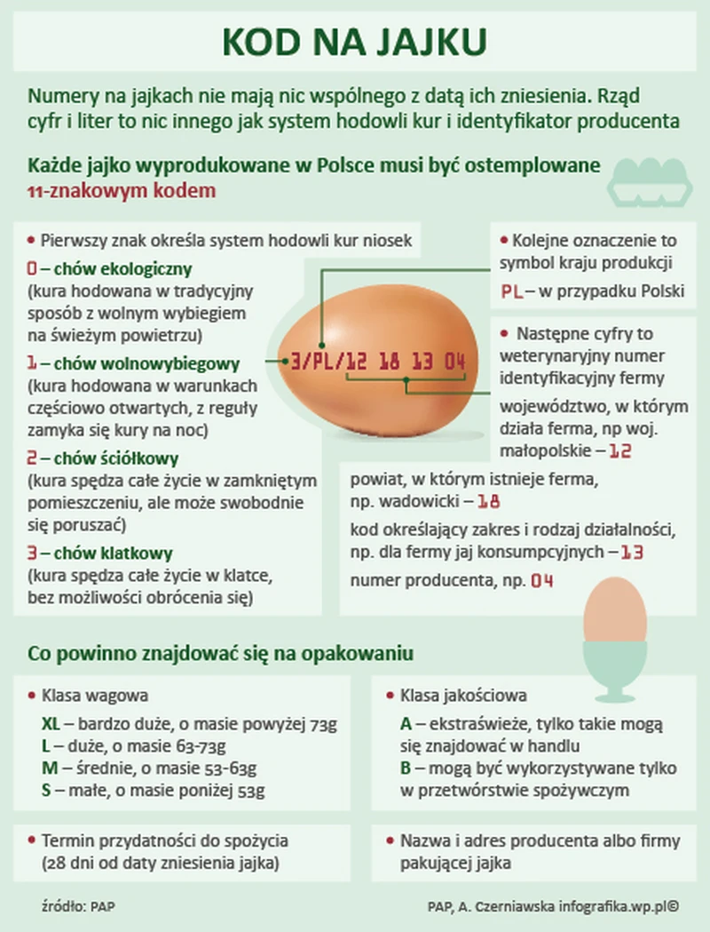Co oznacza kod na jajku