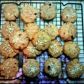 Ciastka z kokosem i czekoladą (bez glutenu, nabiału i cukru)