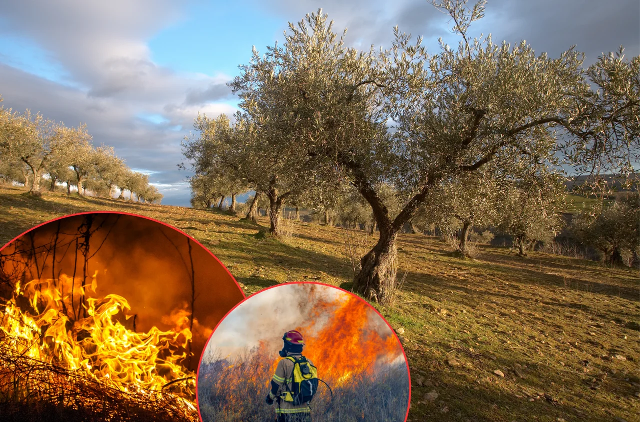 Pożary wymknęły się spod kontroli? Portugalia i Hiszpania walczą z ogniem!