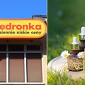 Tanie, wegańskie kosmetyki polskiej marki w Biedronce. Sprawdź, ile kosztują!