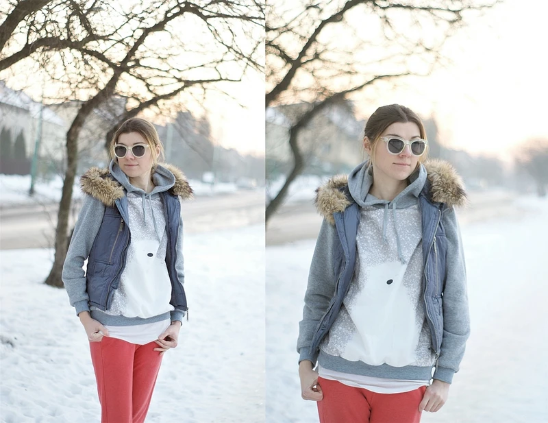 Snowy teddy
