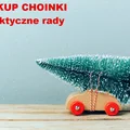 Chcesz kupić ŻYWĄ CHOINKĘ? Wybierz mądrze.