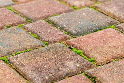 Jak pozbyć się mchów i chwastów z pomiędzy kostki brukowej?
