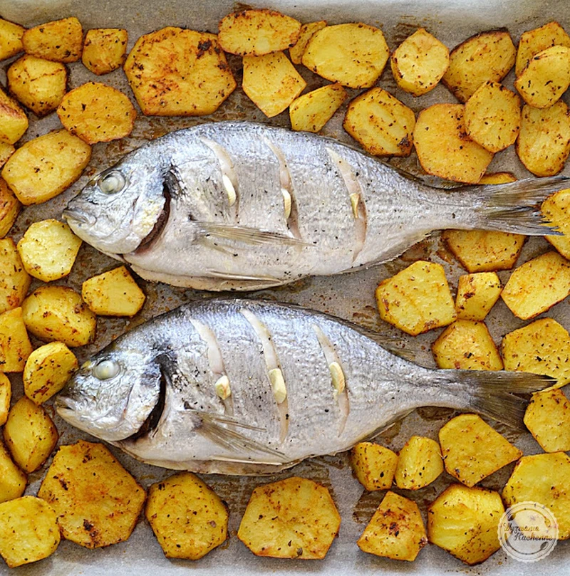 Dorada pieczona