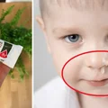 Maść majerankowa. HIT z apteki na dziecięcy katar za 3 zł!