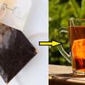 Torebki po herbacie – zamiast wyrzucać do kosza, wykorzystaj je na wiele ciekawych sposobów!