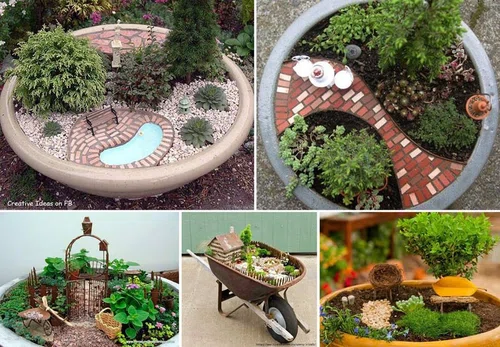 Mini ogród :)