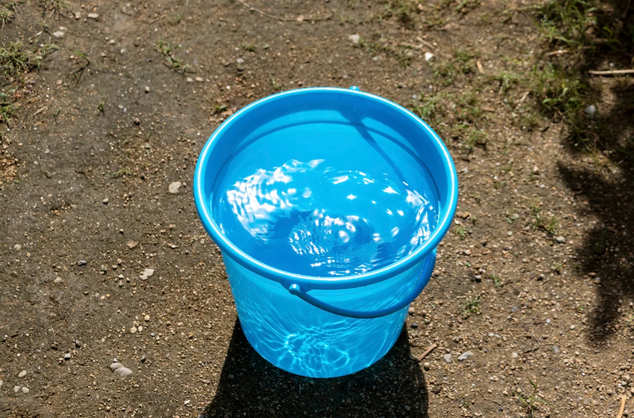 Śmigus-Dyngus w 2026. Te zasady wciąż obowiązują, a wielu o nich zapomina