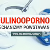 Insulinooporność - mechanizmy powstawania