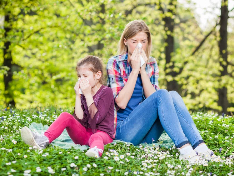 Zdjęcie Ponad połowa nas ma alergie. Czym to jest spowodowane? #1